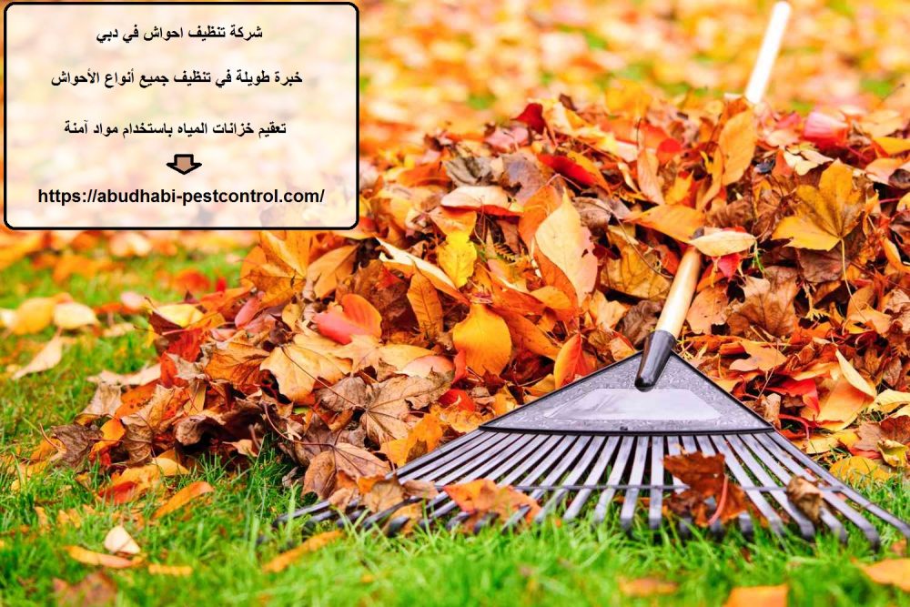 شركة تنظيف احواش في دبي