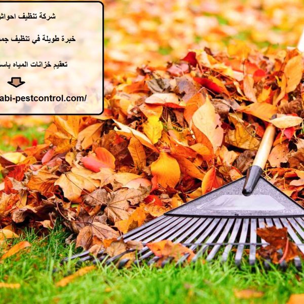 شركة تنظيف احواش في دبي