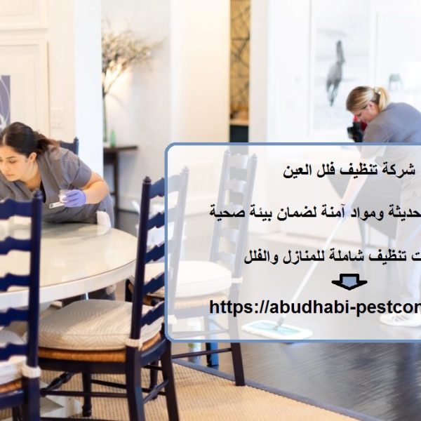 شركة تنظيف فلل العين