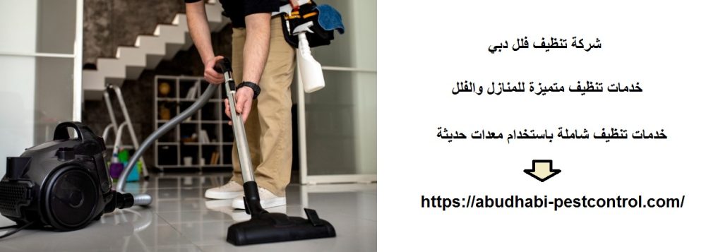 شركة تنظيف فلل دبي