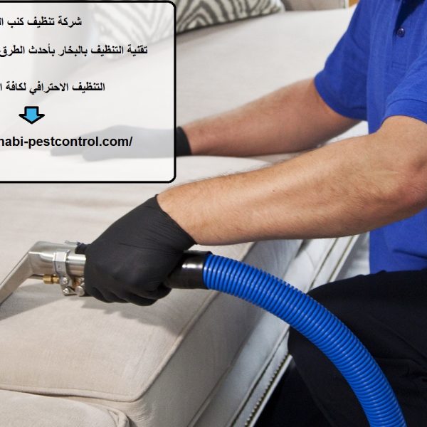 شركة تنظيف كنب العين