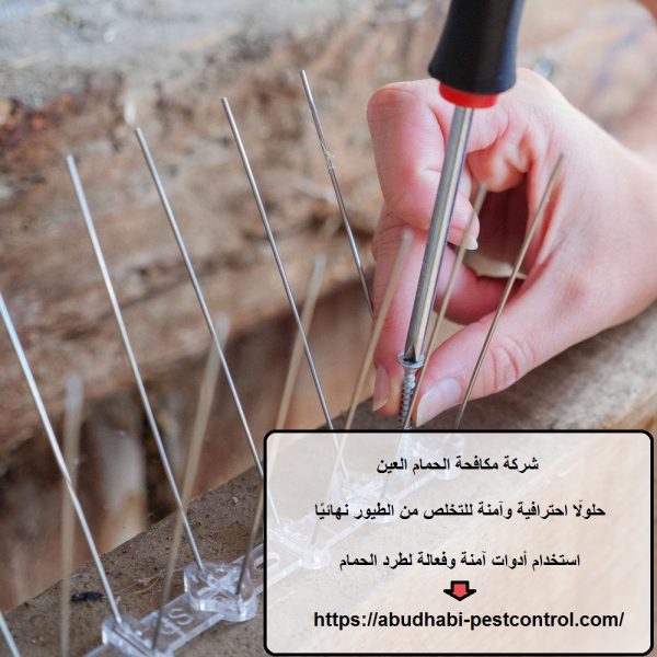 شركة مكافحة الحمام العين