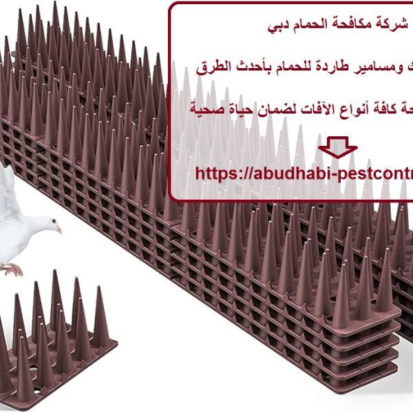 شركة مكافحة الحمام دبي