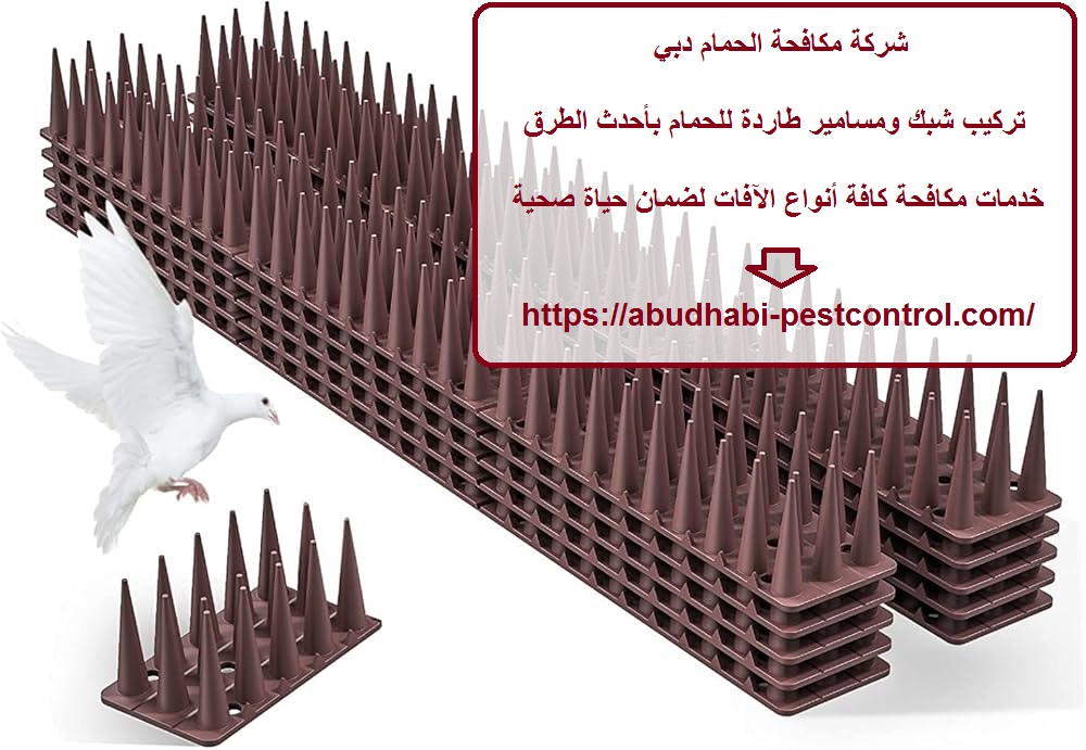 شركة مكافحة الحمام دبي