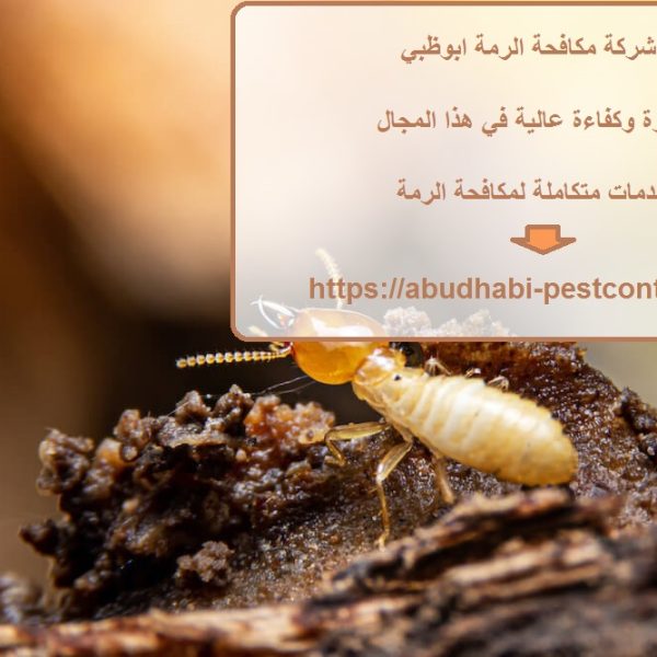 شركة مكافحة الرمة ابوظبي