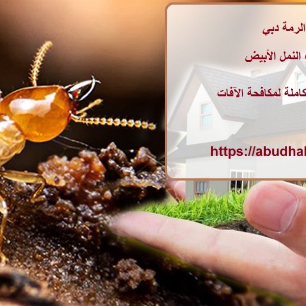شركة مكافحة الرمة دبي