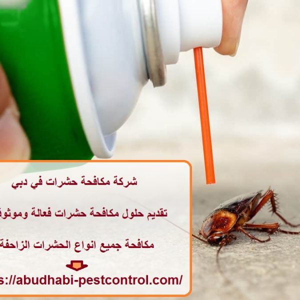 شركة مكافحة حشرات في دبي