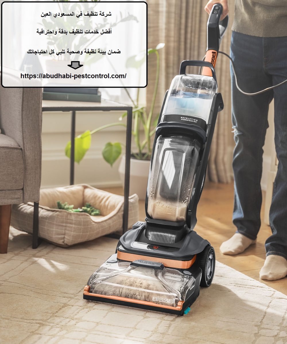 شركة تنظيف في المسعودي العين