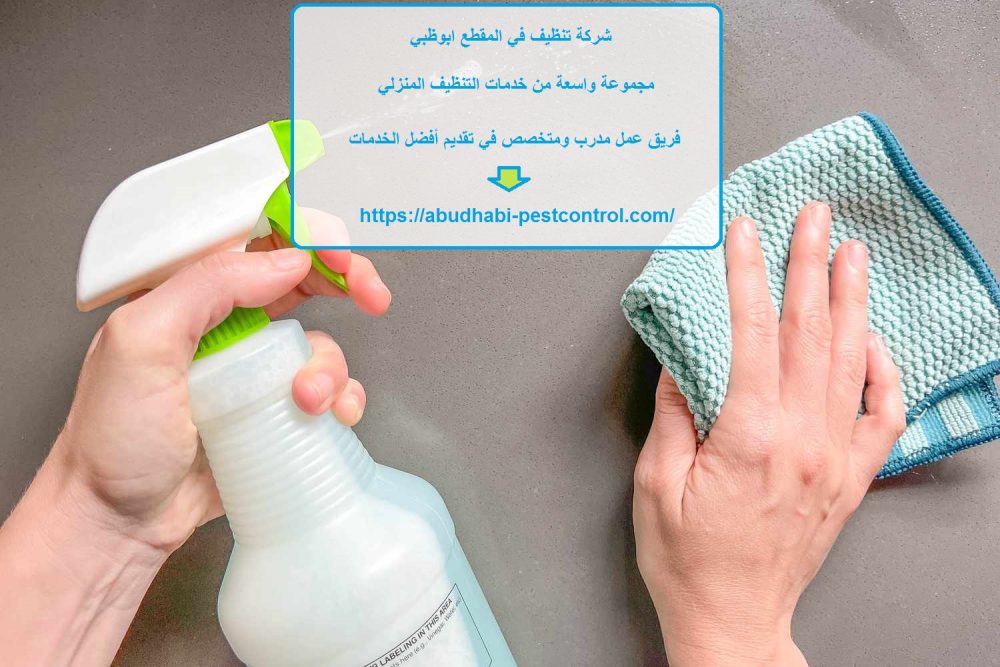شركة تنظيف في المقطع ابوظبي