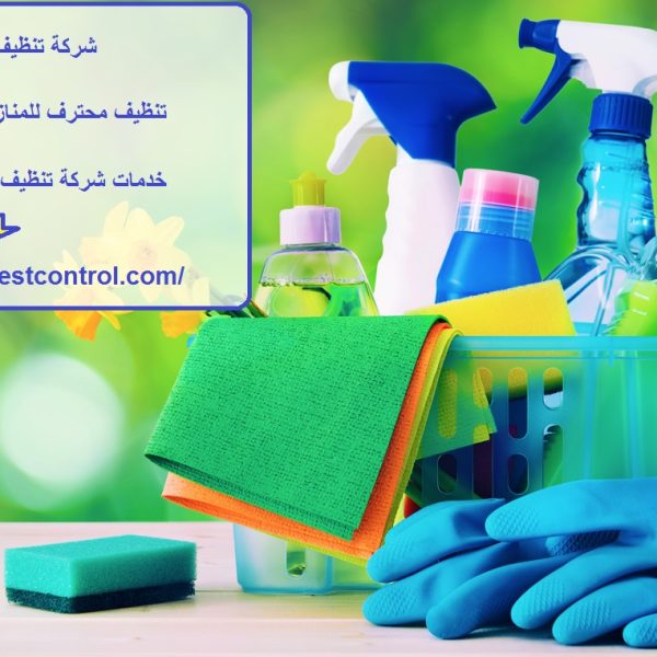 شركة تنظيف في جزيرة الريم