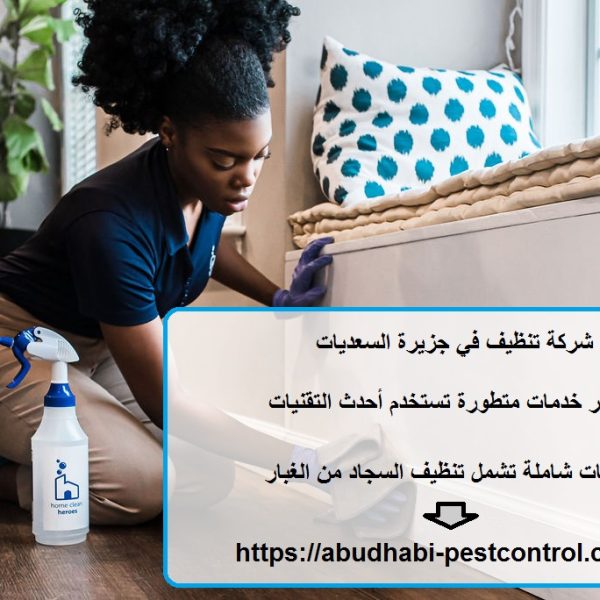 شركة تنظيف في جزيرة السعديات