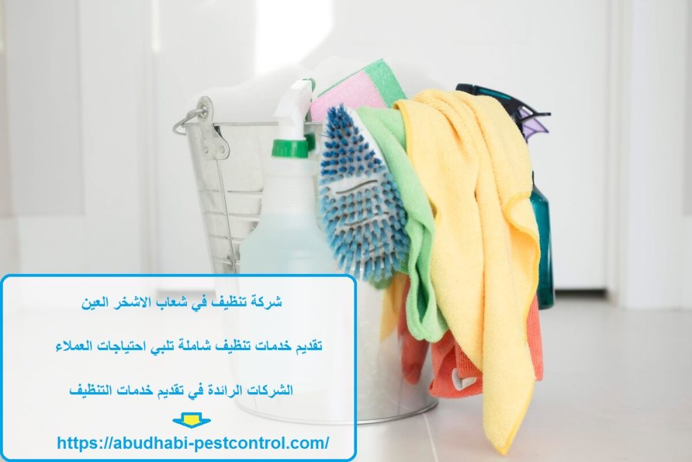 شركة تنظيف في شعاب الاشخر العين