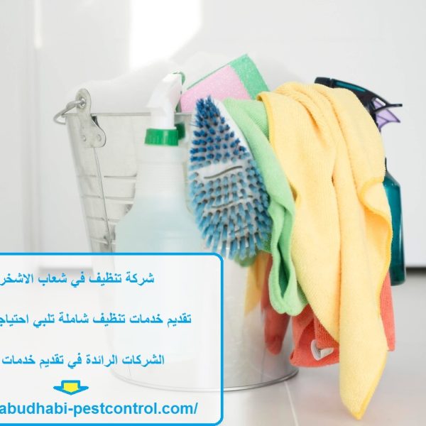 شركة تنظيف في شعاب الاشخر العين