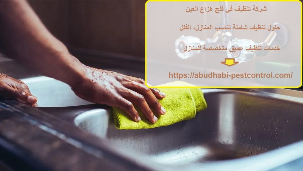 شركة تنظيف في فلج هزاع العين