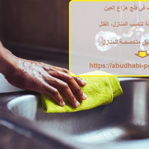 شركة تنظيف في فلج هزاع العين