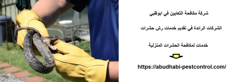 شركة مكافحة الثعابين في ابوظبي