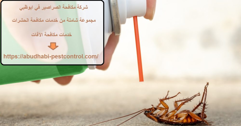 شركة مكافحة الصراصير في ابوظبي