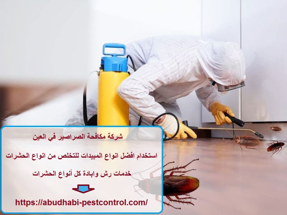 شركة مكافحة الصراصير في العين