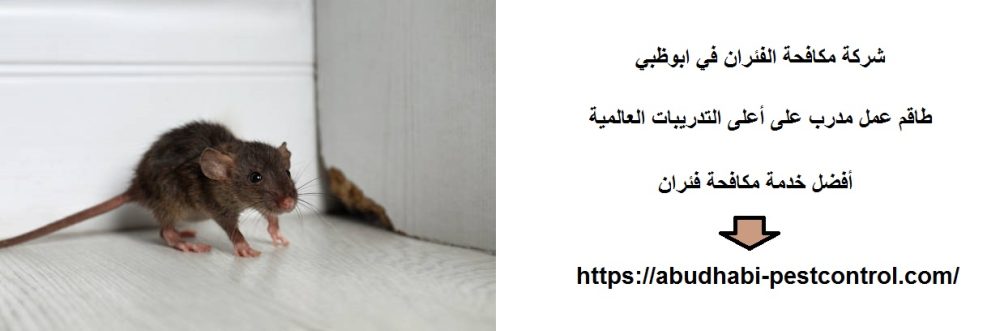 شركة مكافحة الفئران في ابوظبي