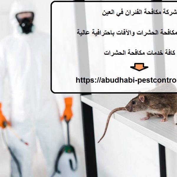 شركة مكافحة الفئران في العين