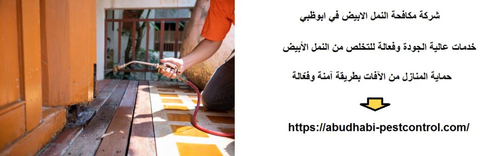 شركة مكافحة النمل الابيض في ابوظبي