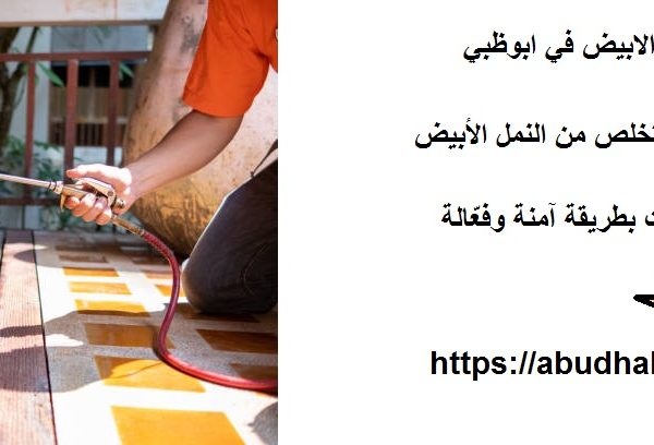 شركة مكافحة النمل الابيض في ابوظبي