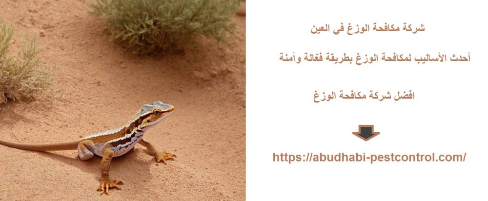 شركة مكافحة الوزغ في العين