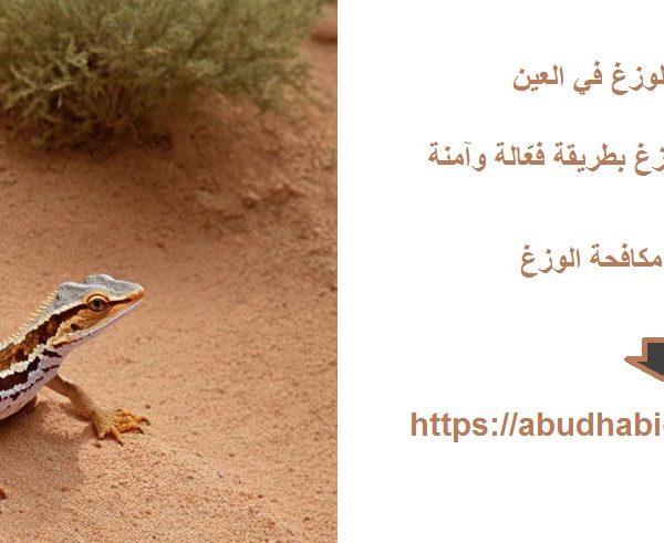 شركة مكافحة الوزغ في العين